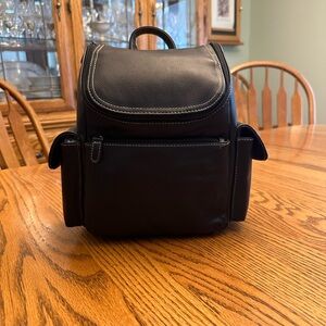 Backpack style purse